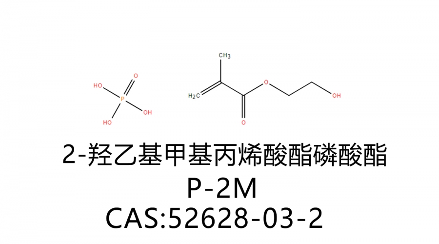 2-羥乙基甲基丙烯酸酯磷酸酯 P-2M